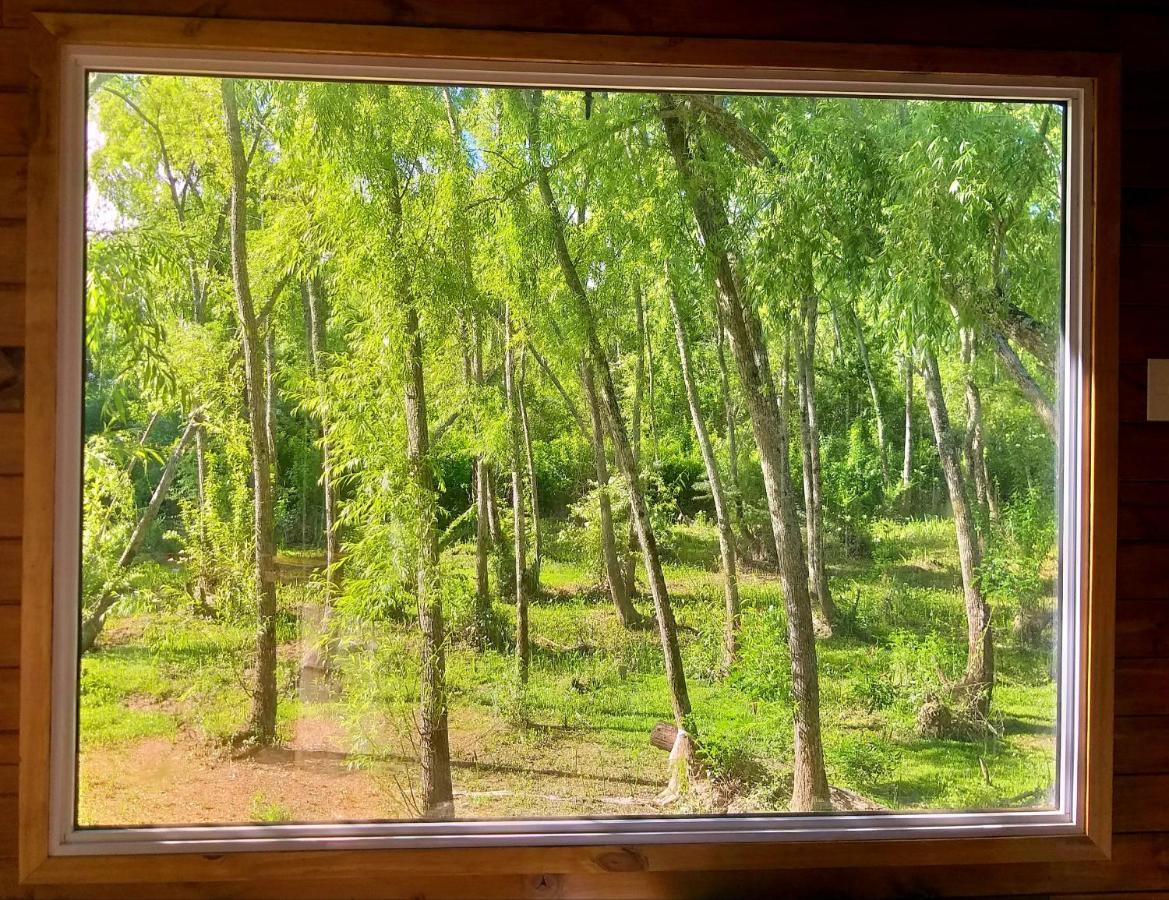 Holiday home Amo Rio - Delta Tigre